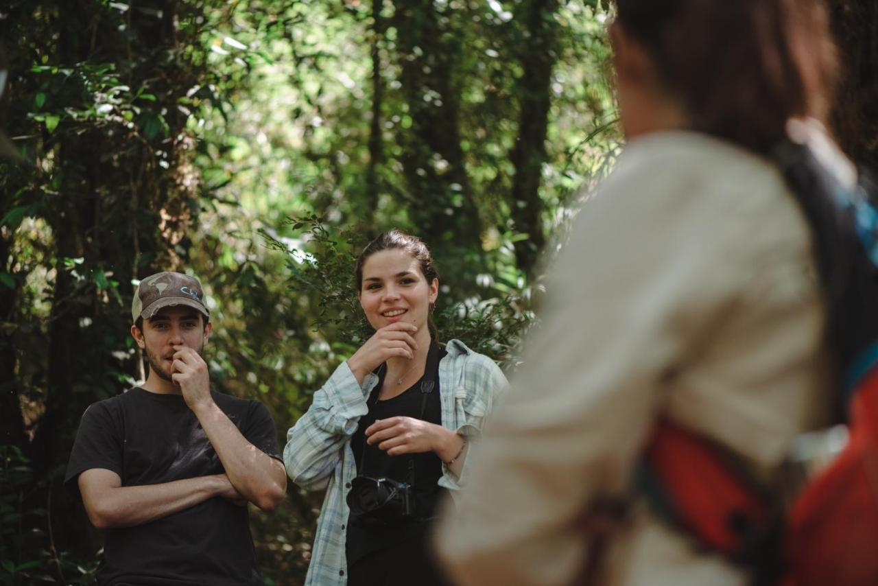 Lodge Parque Tepuhueico Кастро Екстериор снимка