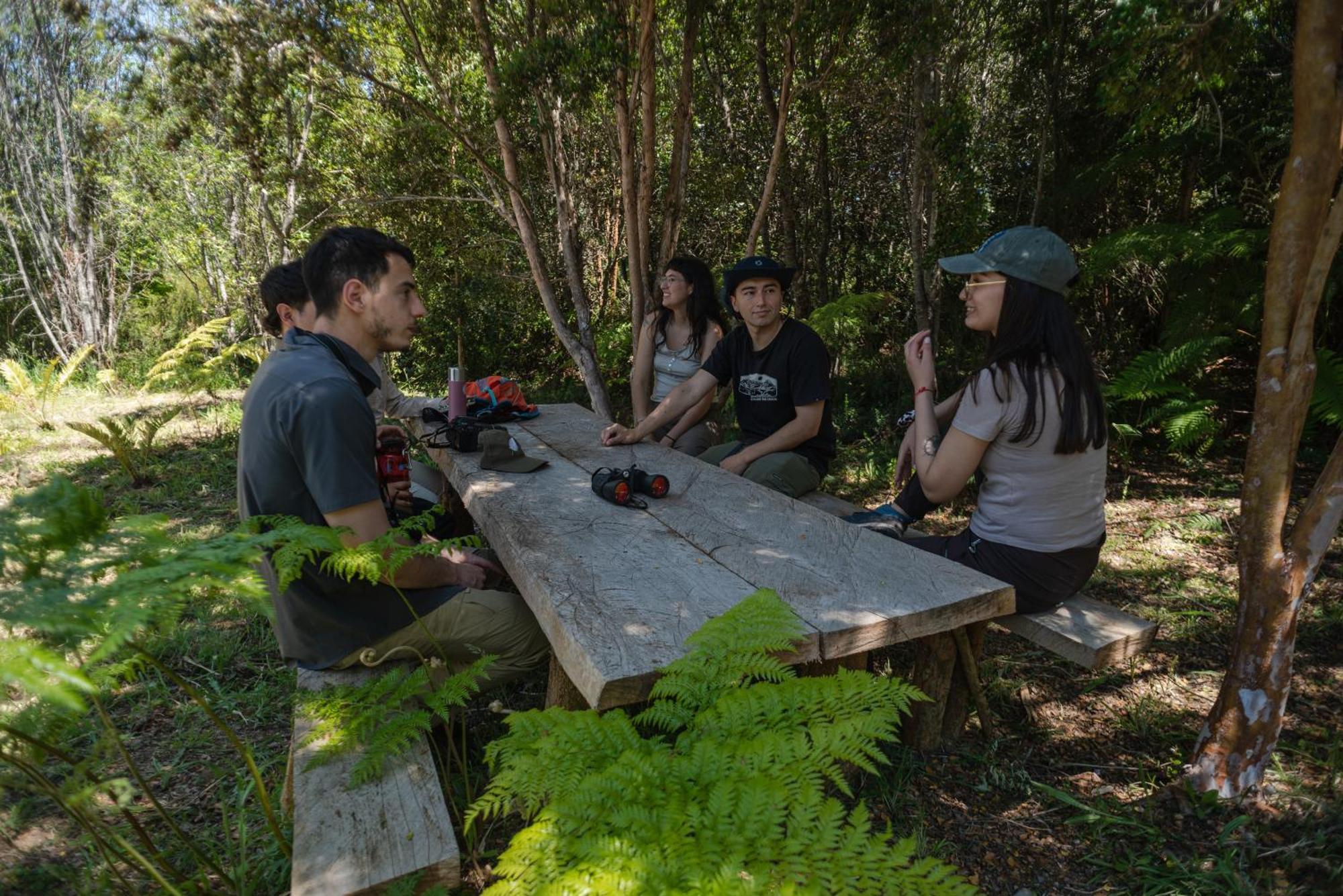 Lodge Parque Tepuhueico Кастро Екстериор снимка